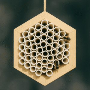 CHA Bee House
